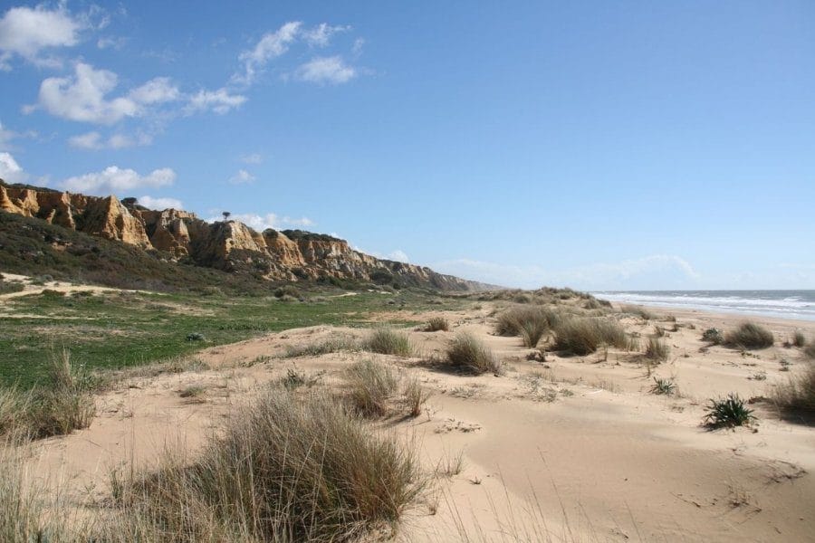 playa de mazagon