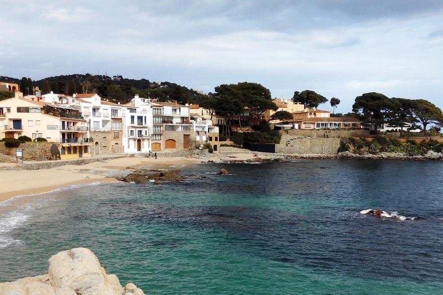 costa brava con perros