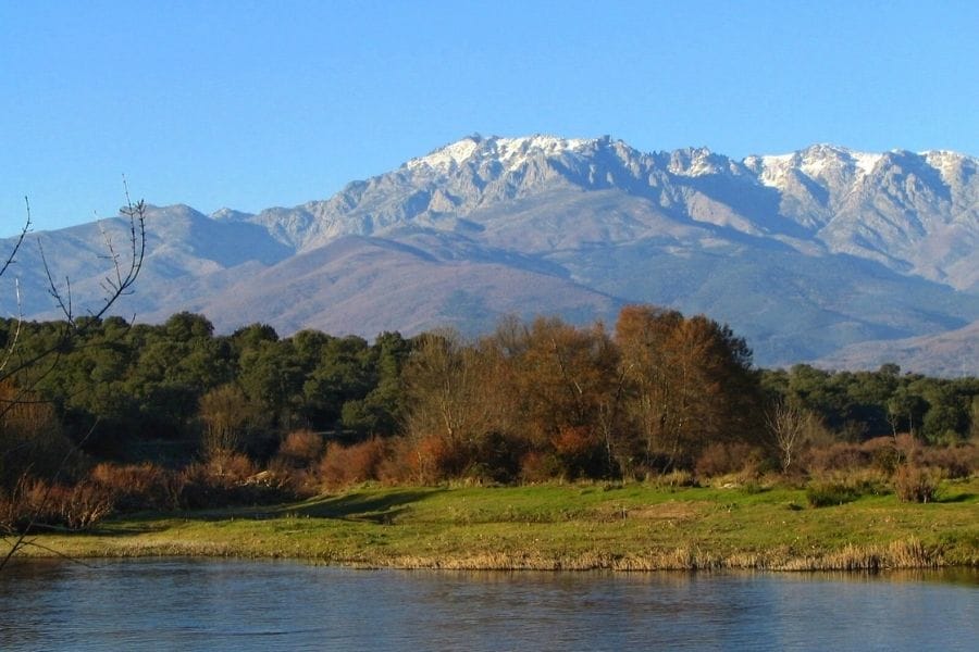 sierra de gredos perros