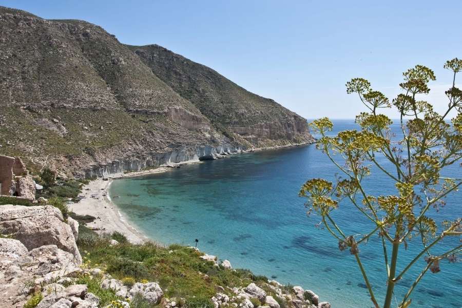 cala san pedro las negras