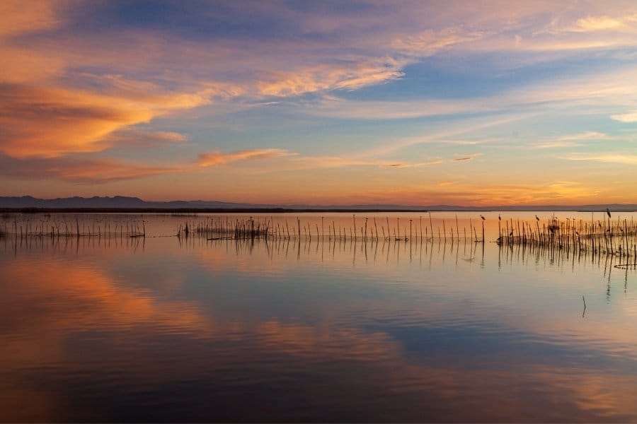 albufera de valencia